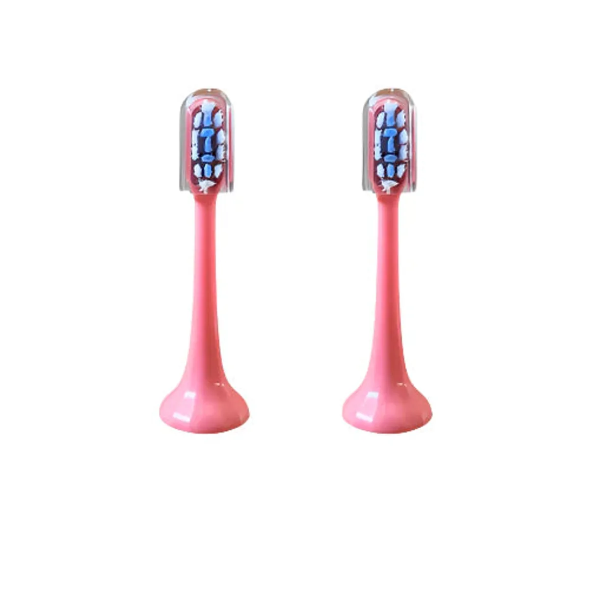 LED Toothbrush Replacement Heads (2X) – review: the product and its packaging